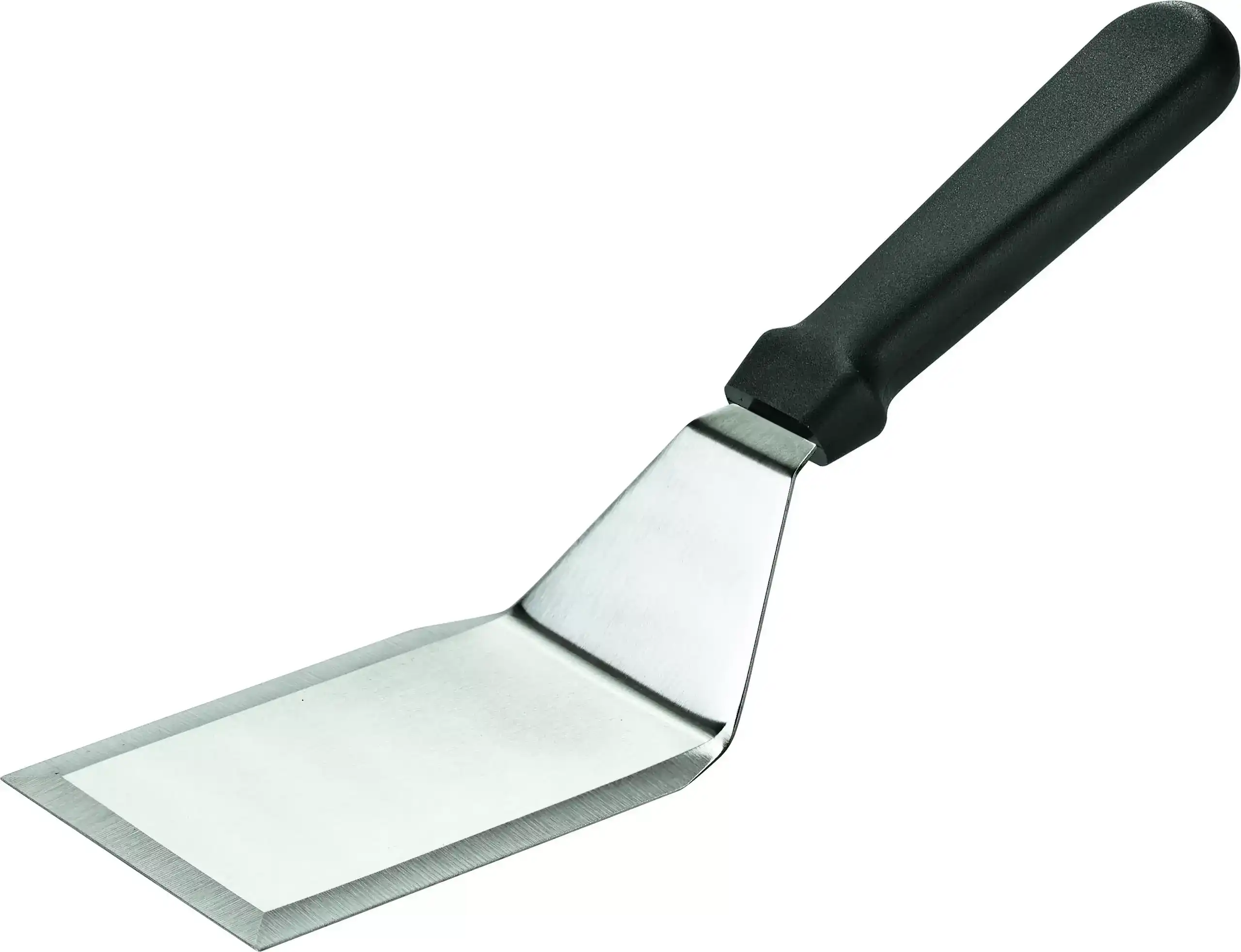 Spatula ungiulara